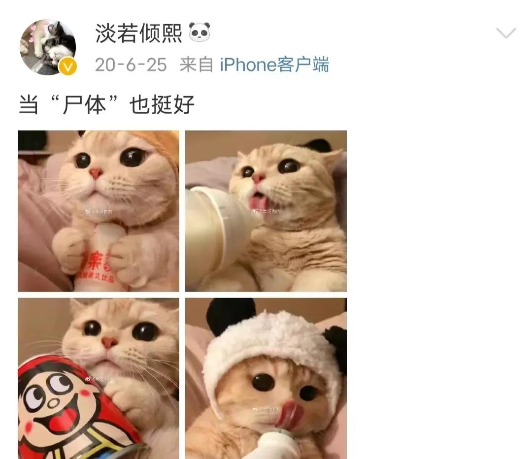 苏州杀夫女子事情经过,苏州杀夫女子事件感想