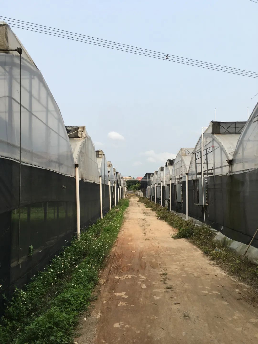 旭光车行雅迪电动车,旭光单车