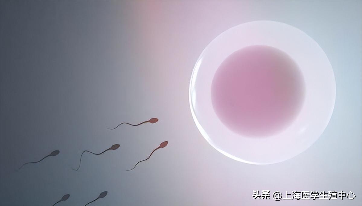 为什么自然排卵怀不上孕,为什么会导致排卵障碍