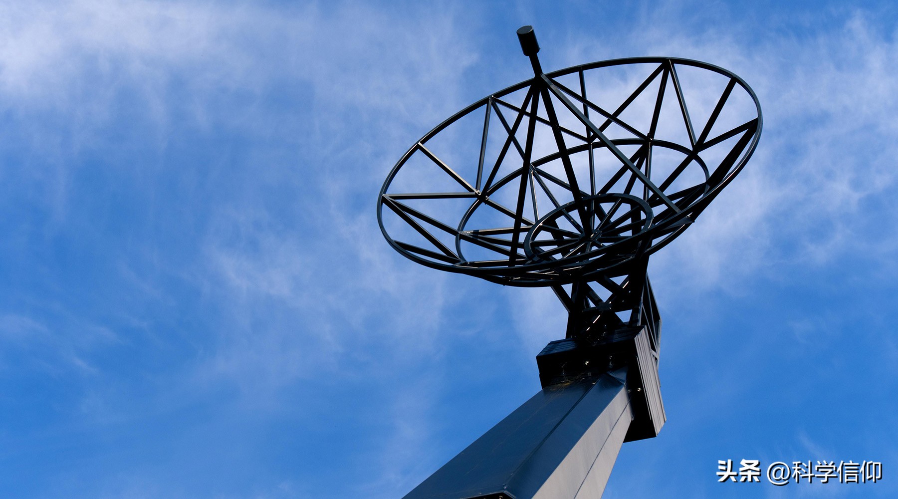 微波炉几分钟杀病菌,杀灭蚊蝇最好方法