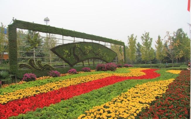 河南省涉黑十大案件,杨建芳涉黑集团覆灭记