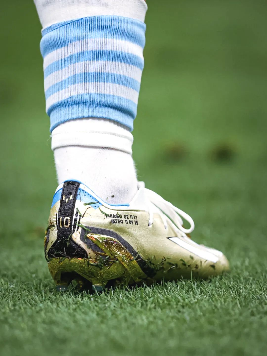 球王加冕梅西的书,球王加冕图片