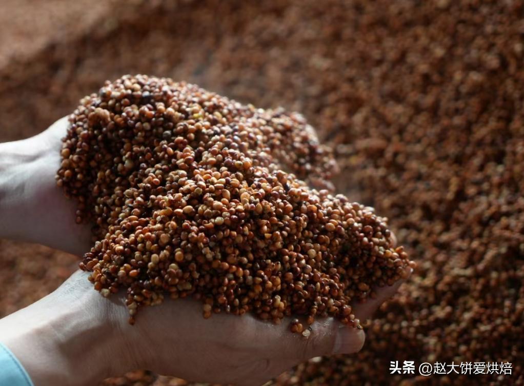 江苏一大喝酒“怪象”：大家很少喝茅台、洋河，反而专挑这3款