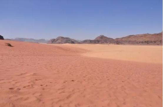 纪录片疯狗卡扎菲的秘密世界,中东疯狗卡扎菲演讲