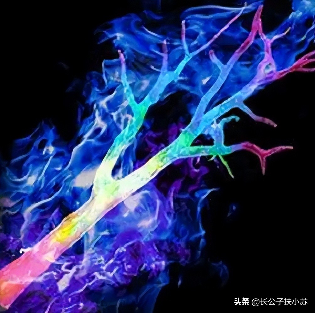 青萍剑有剑鞘吗,青萍剑和七宝妙树