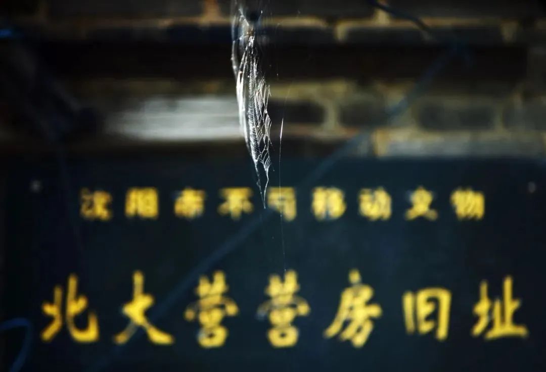 勿忘国殇吾辈自强的手抄报,国殇永不能忘吾辈自强什么意思