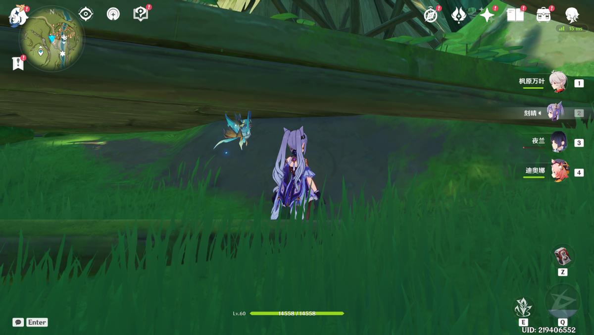 散兵风行迷踪飞行bug,风行迷踪清泉镇卡bug