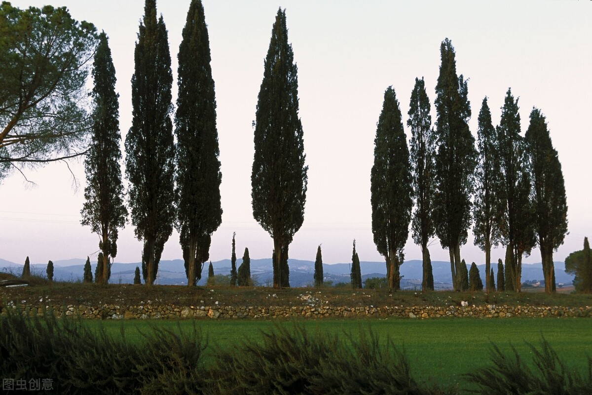 简短有创意的学生评语,每日学生评语