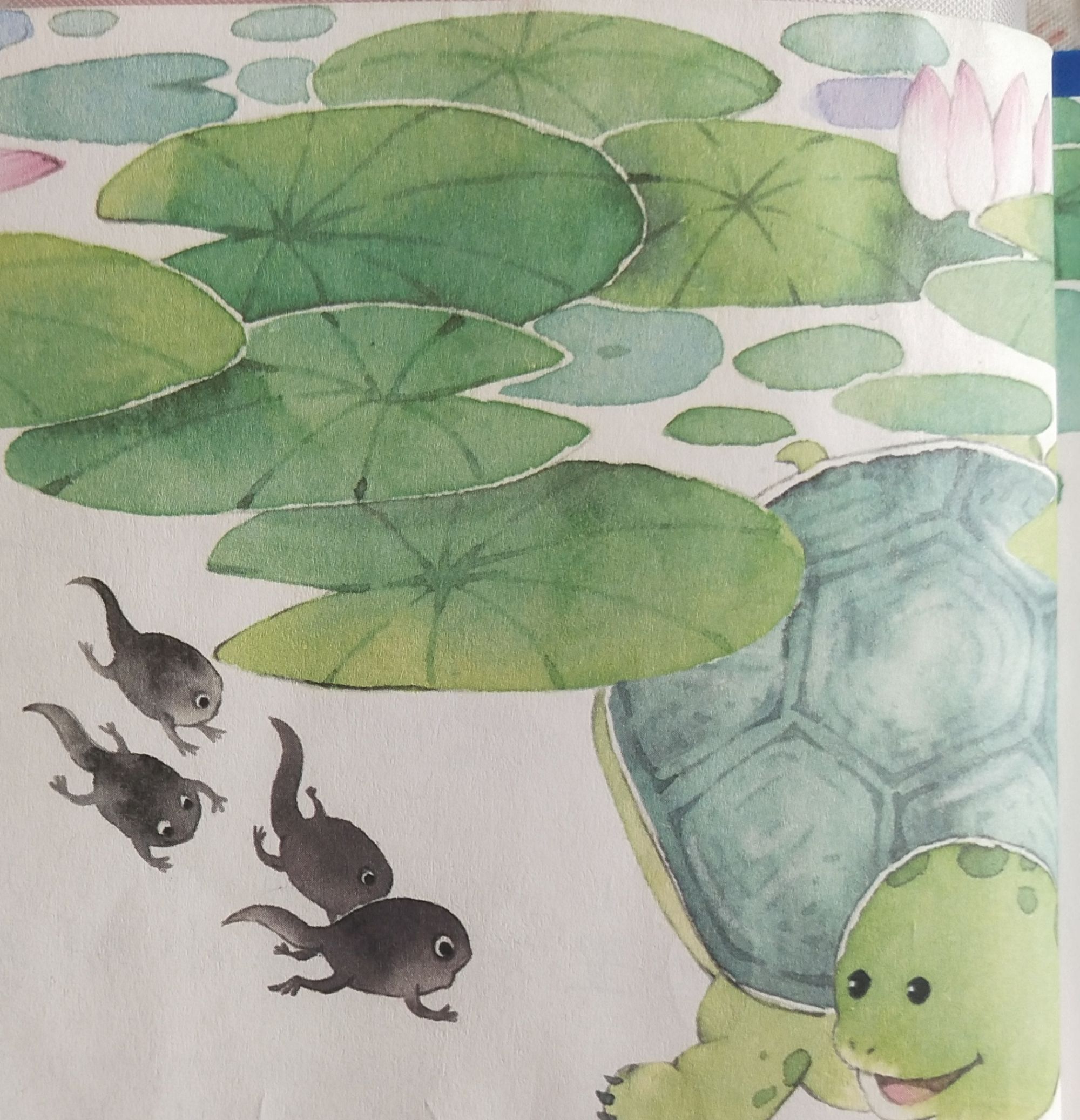 盘点值得回味的电影,值得回味的动画片