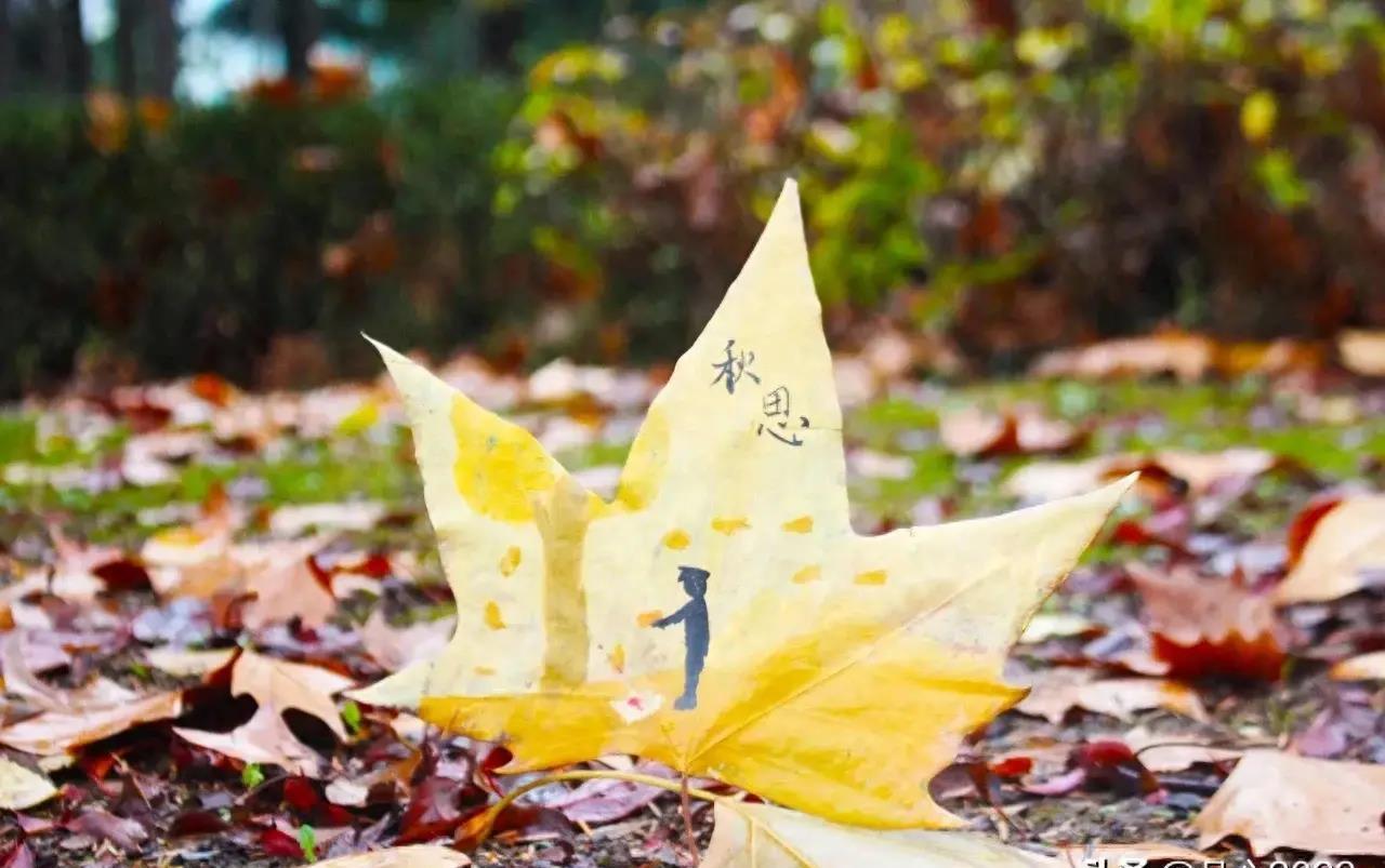 转业军士的档案审查内容,2023年军士转业档案审核标准