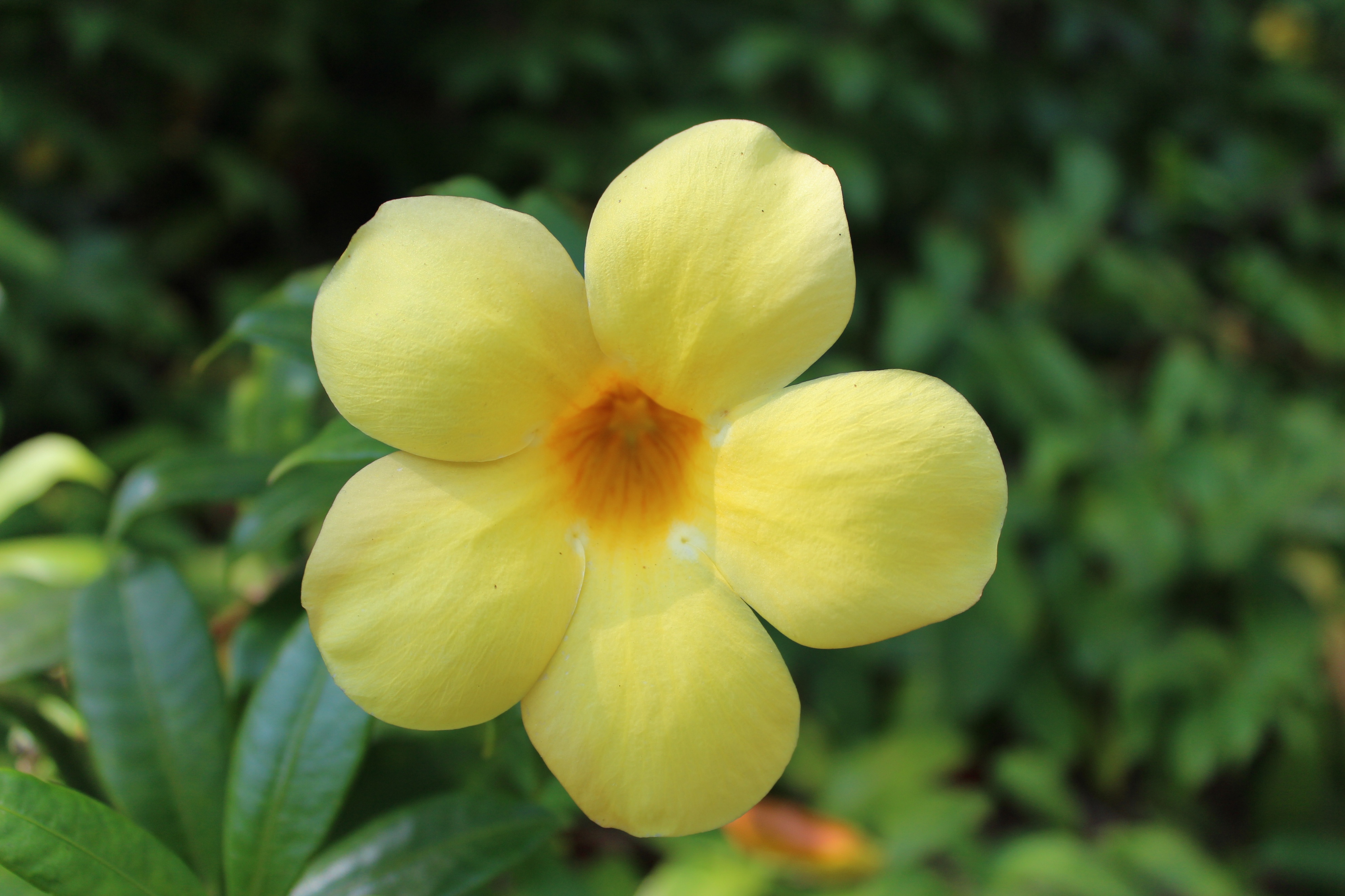 2017最全台湾购物攻略,台湾宝岛购物攻略