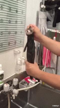 当代网友骂人能斯文到什么样子,网友骂人可以斯文到什么程度