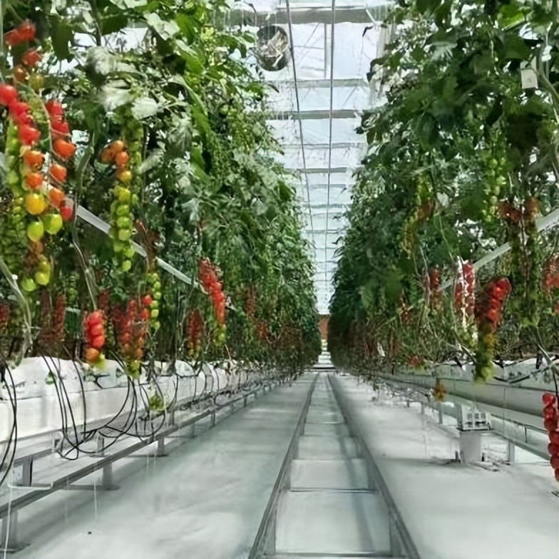 农业机械大全家用,农业种植的各种机械