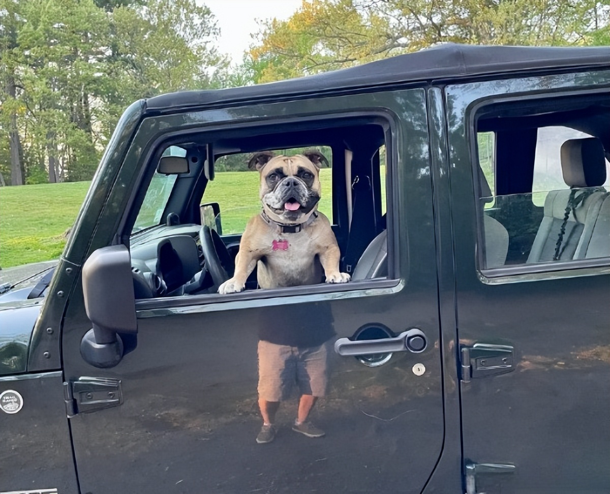 何老师抱狗撒尿，三石弟弟跳舞洗狗…这些破图我看一次笑一次哈哈