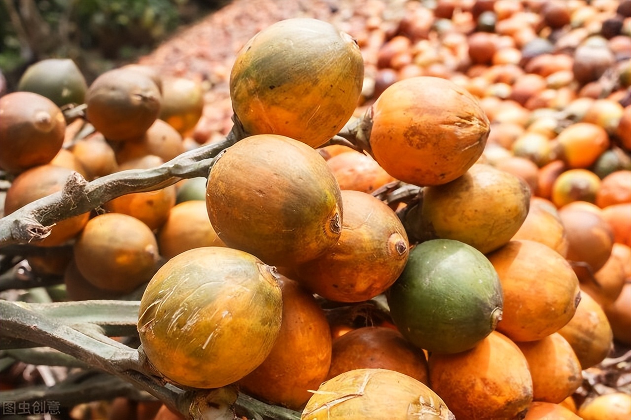 不食槟榔宜尽快形成趋势