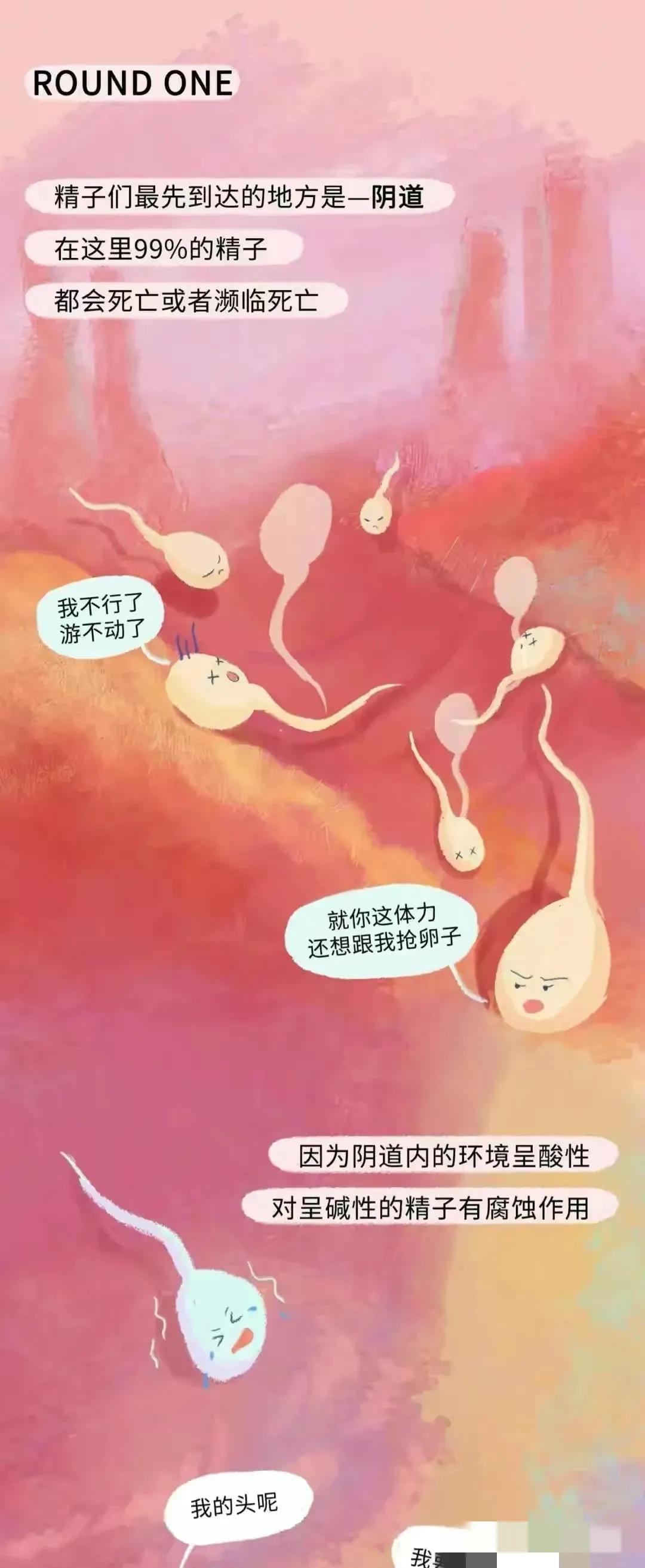 如何怀孕具体步骤图片,怎样才会怀孕简单的图片