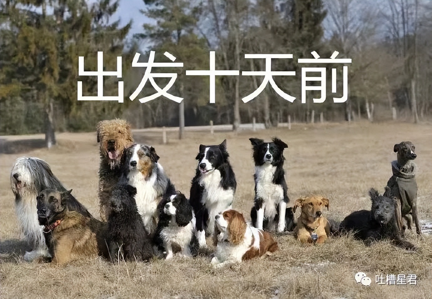 男朋友送6000的礼物,男朋友送了个7000的包分手要还吗