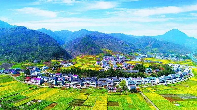 数智兴农|募集计划启动！赋能品牌商/供应商