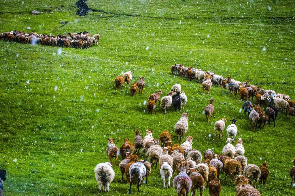 七月中国美如画，夏日避暑五十处