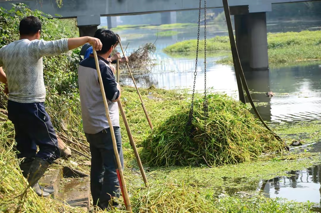 春天花园施什么肥,春天花园除虫