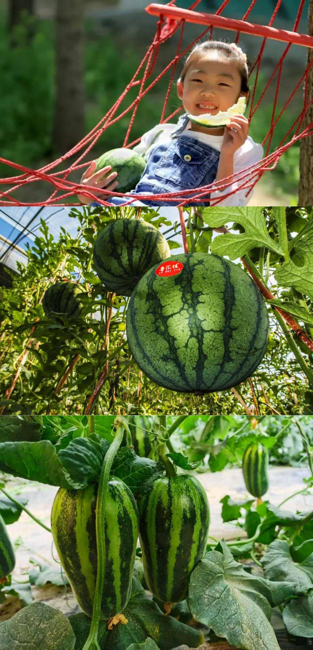 濂変笂5澶т笉鍙敊杩囩殑缇庨绾胯矾鎺ㄨ崘,濂藉悆鐨勭編椋熸帹鑽愯繎鍦伴搧