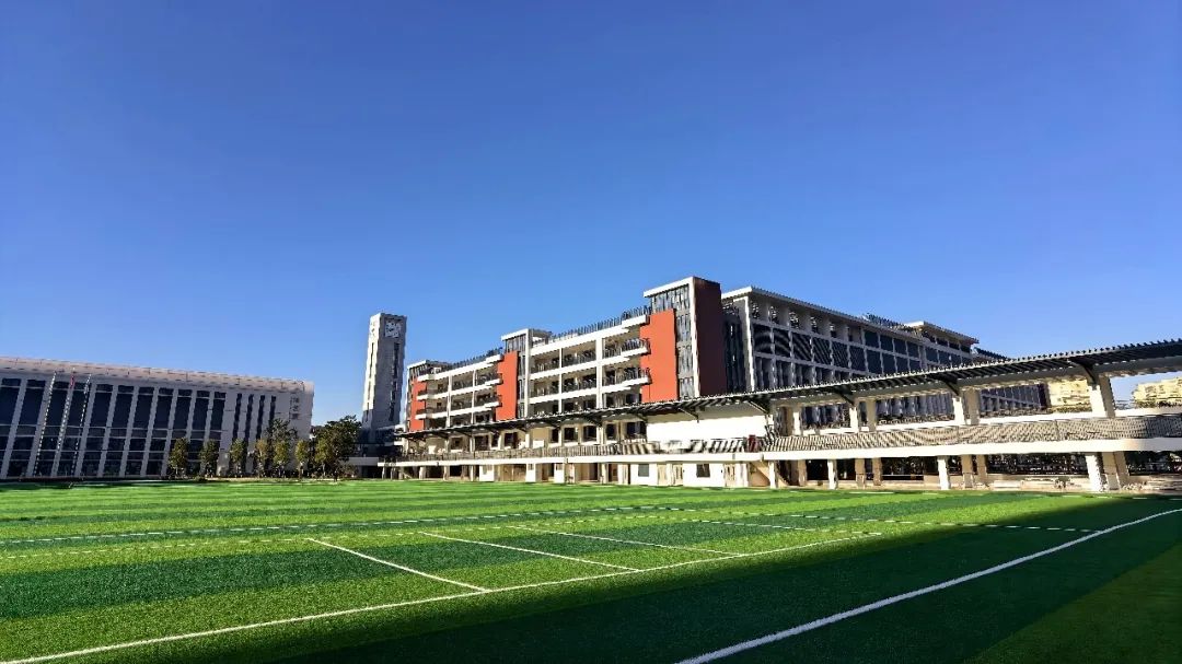 深圳双一流学校名单,深圳决定要建两所世界一流大学