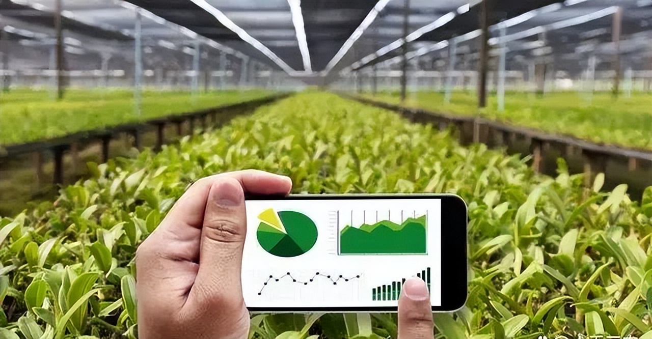 农产品流通平台建设,农产品批发中心主导的供应链