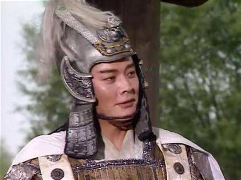 姜维打败诸葛亮完整版,姜维打败赵云