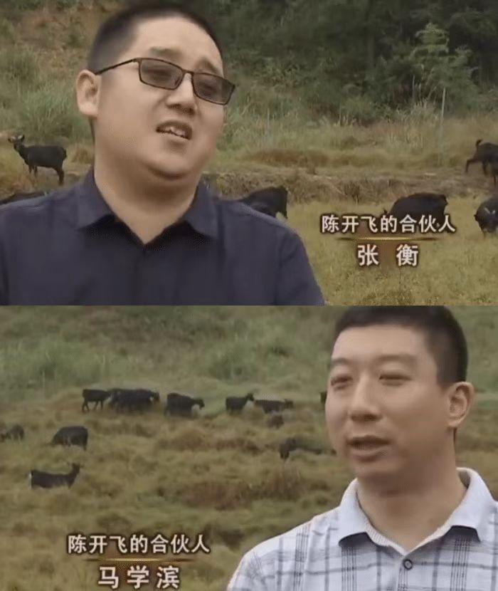 小伙放弃打工到大山里养殖,小伙放弃百万年薪转行回乡养猪