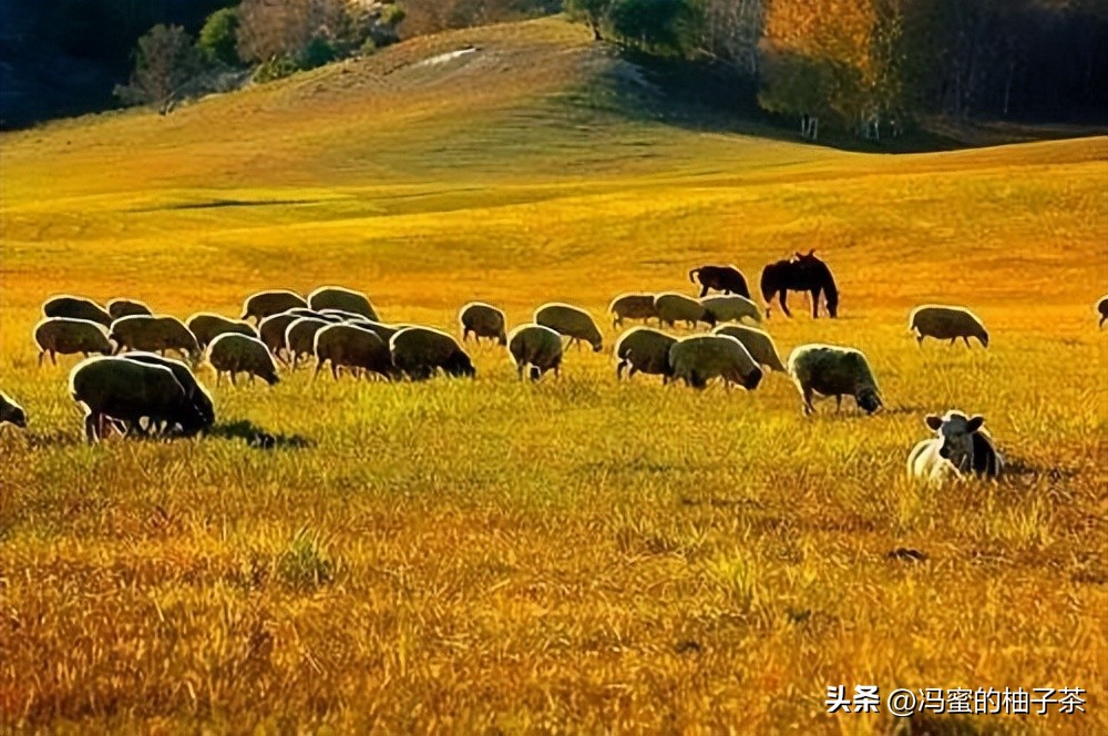 生物多样性的保险价值，在经济学框架中有何意义？