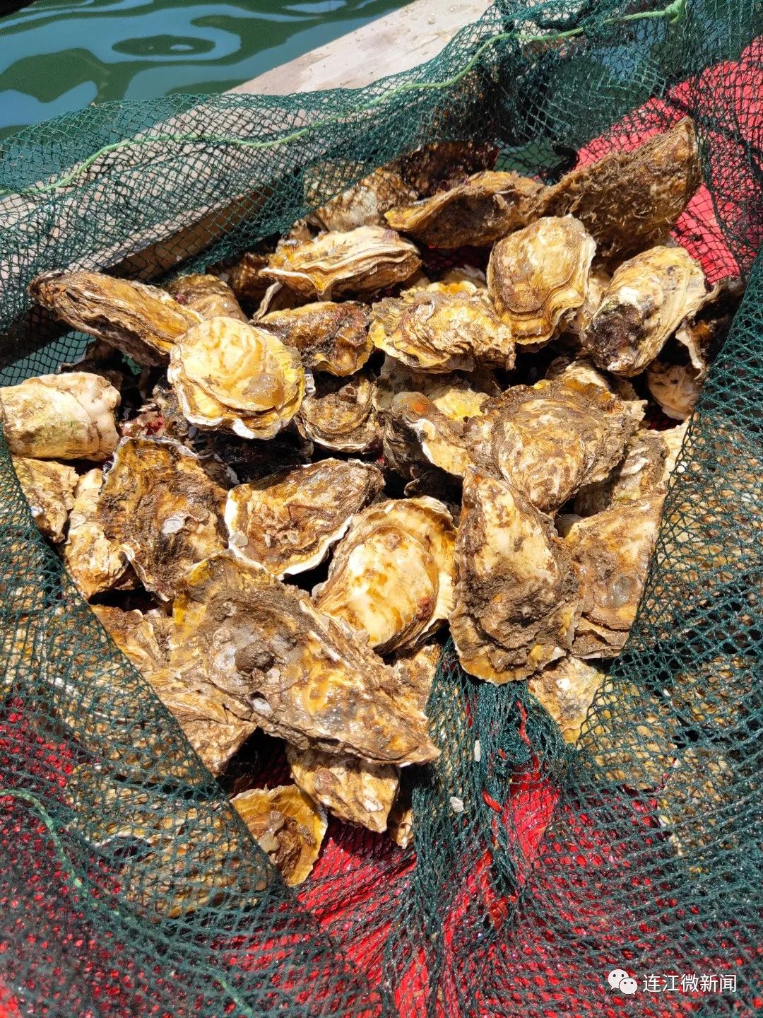 连江：念好新时代“山海经”