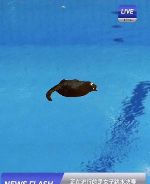 35岁找不到对象怎么办,我今年35岁了还没找到合适的对象