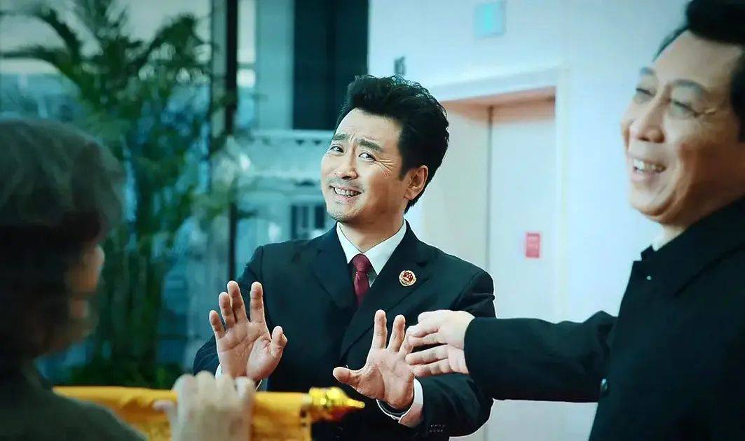 电视剧巡回检察组深度解析,巡回检察组电视剧为什么评分低
