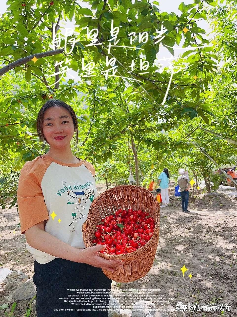 水磨镇车厘子采摘基地,朝阳镇采摘车厘子