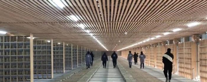 2021年国际鸽联“洲际杯”国际公棚鸽王赛—唐山阳光站决赛关完赛