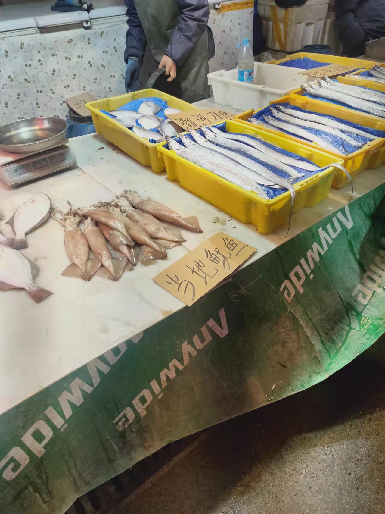 大连海岸现在钓什么鱼,大连熟食品批发市场有哪些好吃的