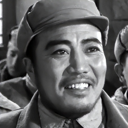 关于革命的小说红日简介,长篇小说红日沈振新的原型是谁