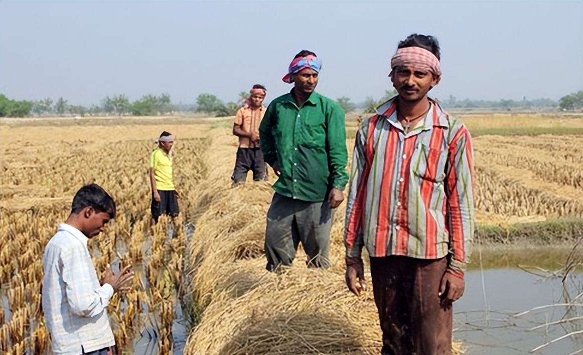 印度的困境与莫迪的无奈,印度现实中的莫迪