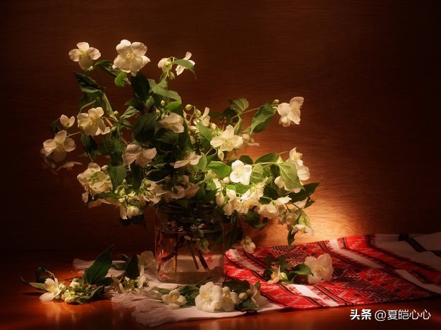 如何处理父母的胡搅蛮缠,如何摆脱胡搅蛮缠蛮不讲理的父母