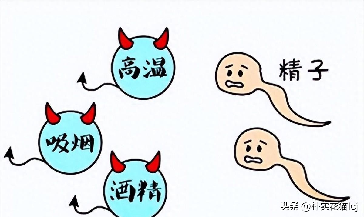 精子受孕未成功后去哪了,没有成功受孕的精子都去哪里了