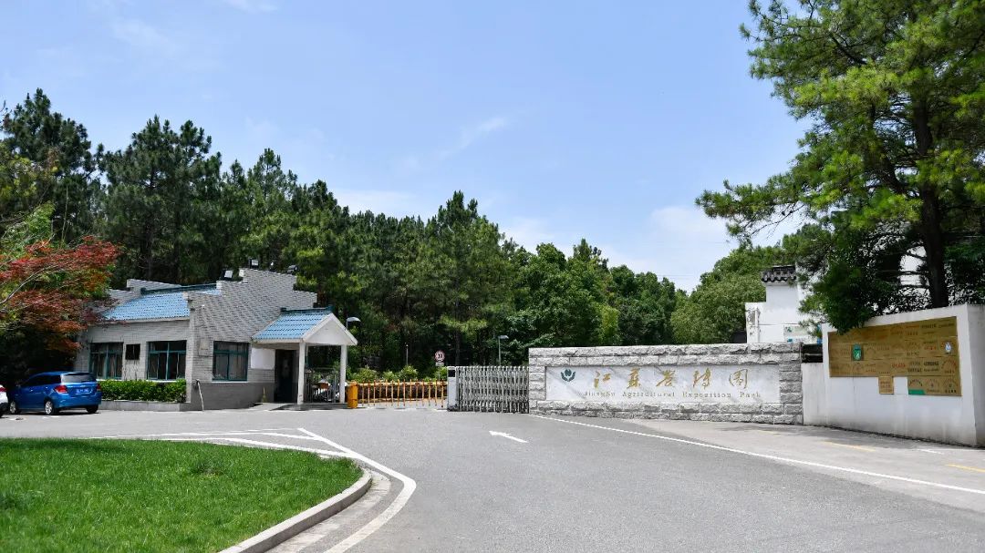 未毕业被定岗位的大学专业,未毕业定岗培养