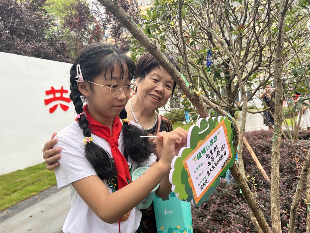 东龙公园视频,东龙公园图片门口