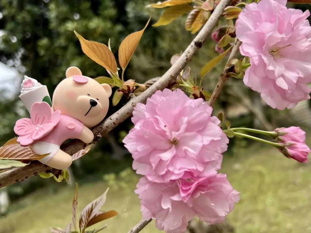 错过了一个秋天,错过了一个春秋