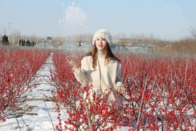 最名贵的十种花卉名称及图片大全,既好养又值钱的花卉