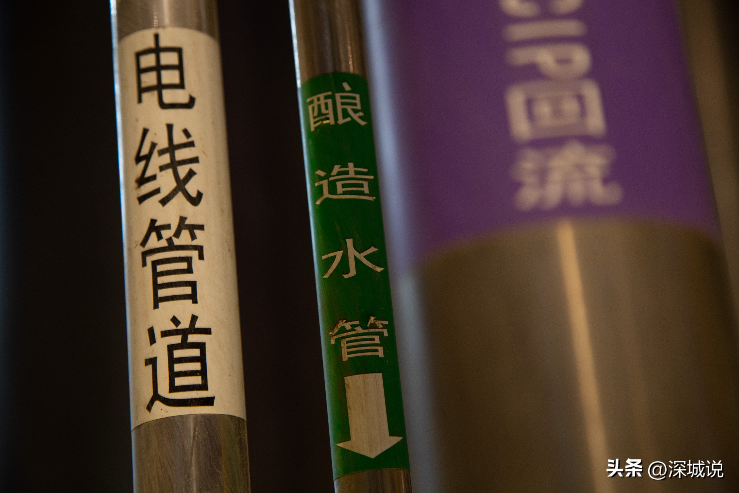 深圳金威啤酒厂最新消息,深圳金威啤酒厂