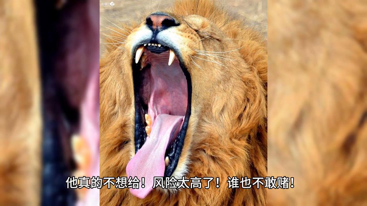 第四十六回原文,第46话全文