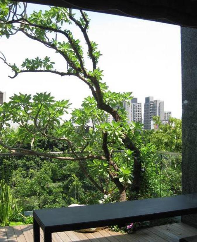 绿化养护多久一次最好,日本人绿化养护