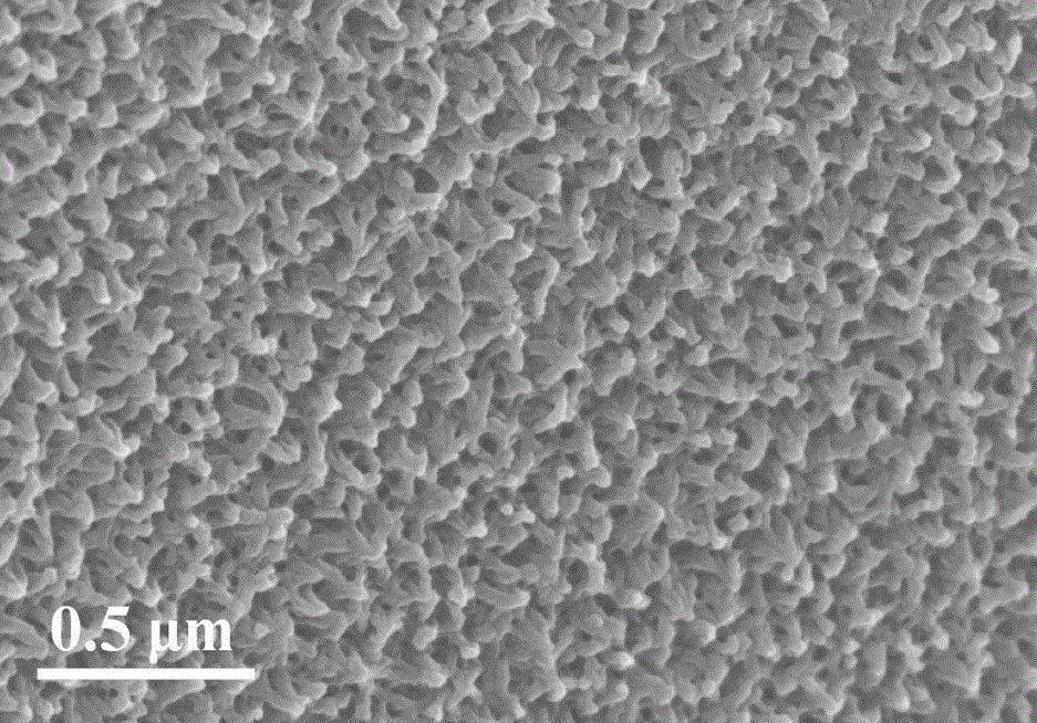石墨烯改性纳米重防腐材料,聚苯胺石墨烯复合材料的制备实验