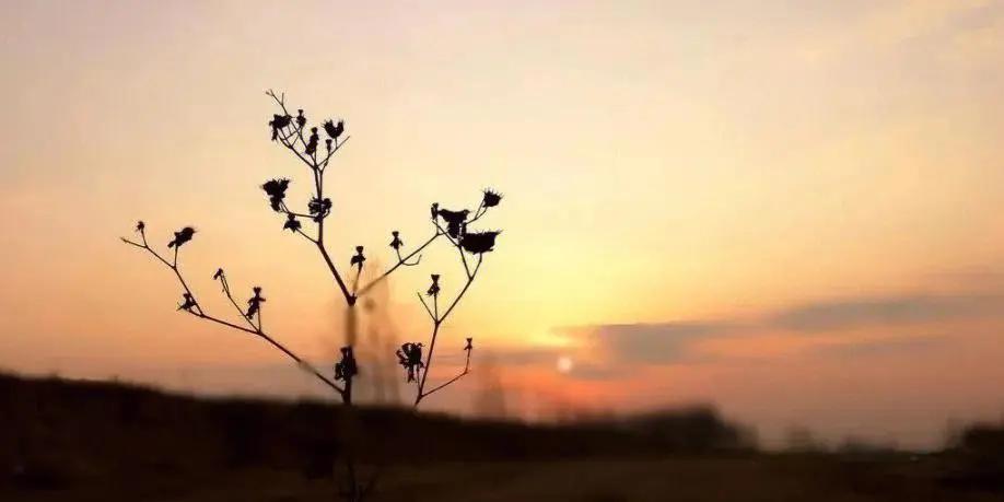 一眼回眸便是一处风景,回眸便是风景转身不负光阴