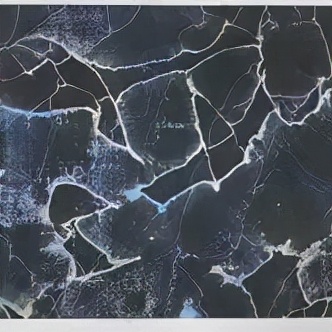 “FossilsDance－太古⽯的舞痕”